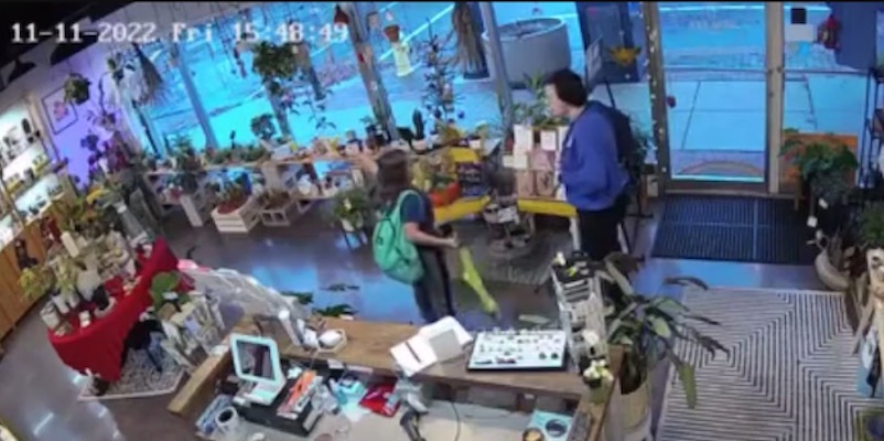 MUST WATCH: Kid Handles Abduction Attempt Like A Champ! (VIDEO)