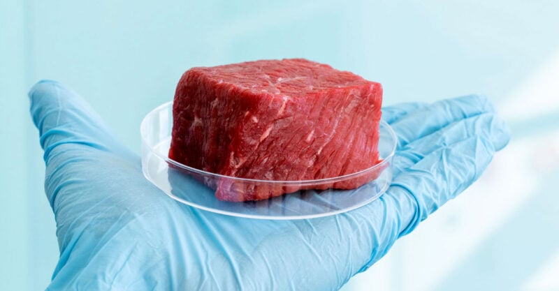 The Fake Meat Scam