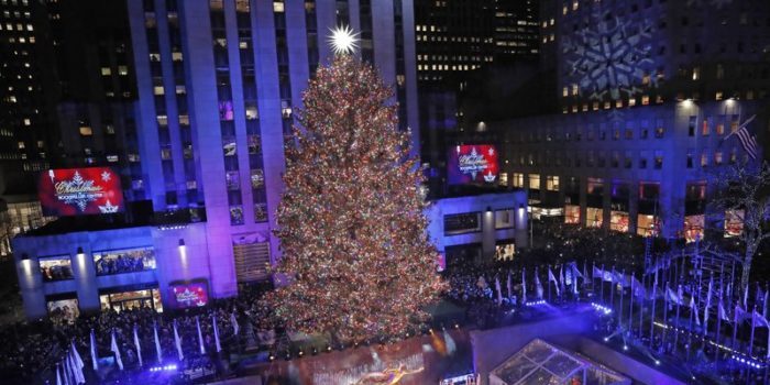 Public Library Flip-Flops on Trashing ‘Uncomfortable’ Christmas Tree