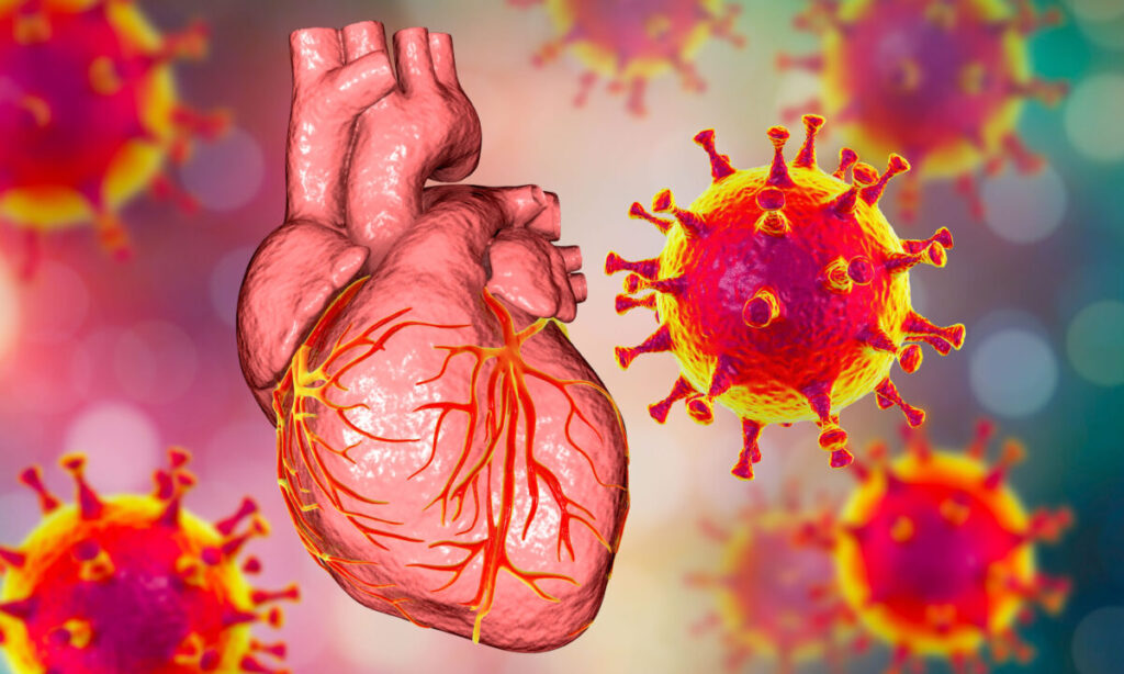 People Died From mRNA-Vaccine-Damaged Hearts, New Peer-Reviewed German Study Provides Direct Evidence