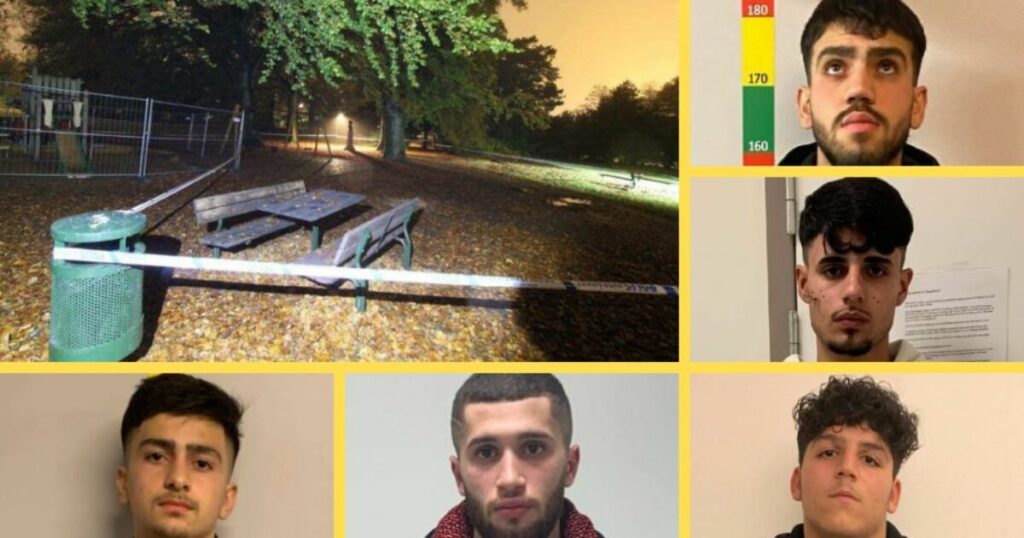 Suicidal Sweden: Woman Gang-Raped in a Park by Five Teenage Syrian Muslim Migrants
