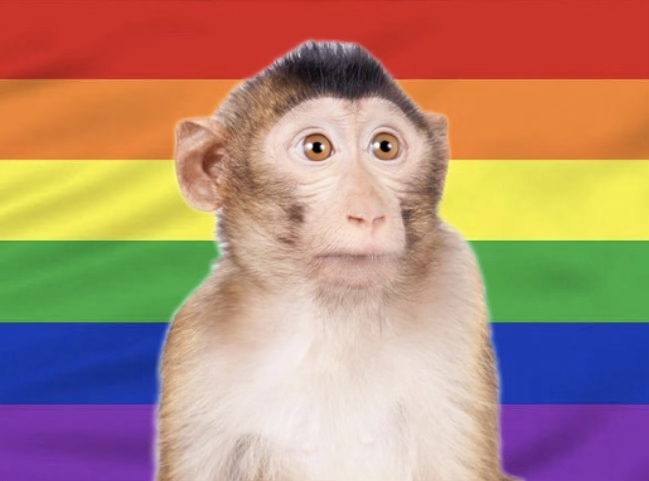 They’re Turning the Monkeys Gay! Fauci Paid $453K to Make Primates Transgender