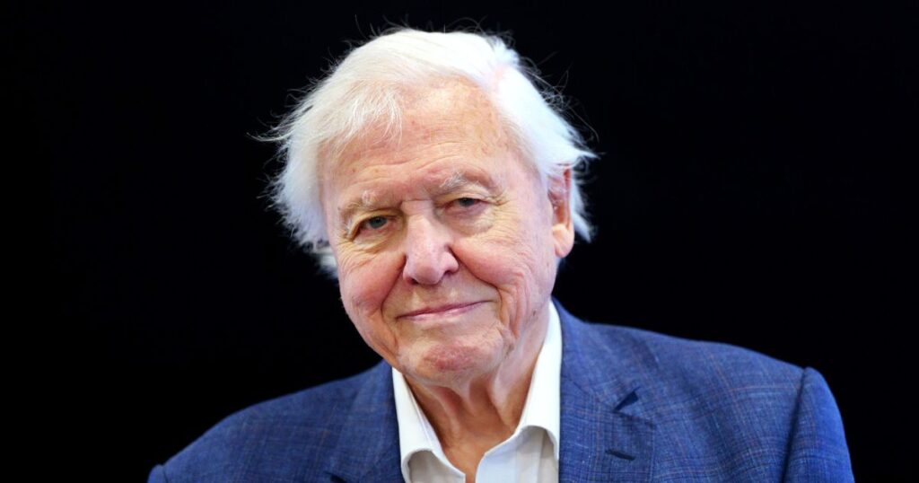 AI voice clone under fire over fake Emma Watson reading Hitler and Attenborough rant