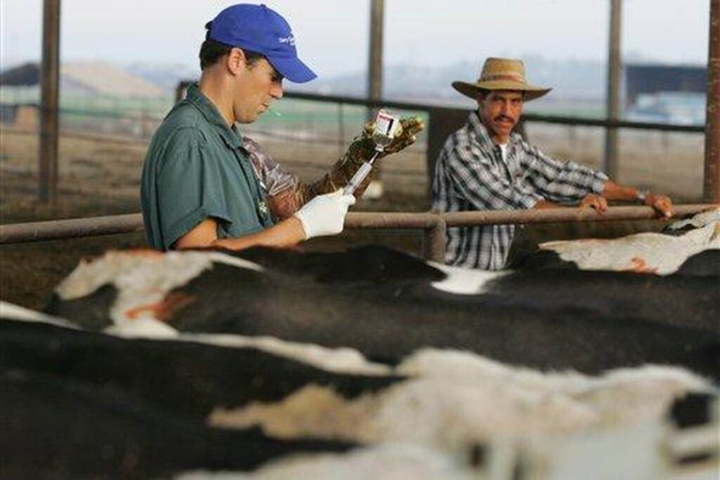 Red Alert: Pharma Plots to Inject Livestock With mRNA 'Vaccines,' Likely to End up in Food Supply