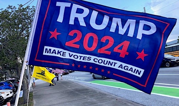 Dem lawyers suing to 'make election theft virtually effortless'