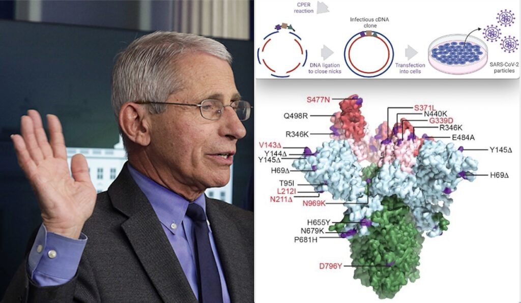 COVID-19 Omicron Variant XBB.1.5, now Called KRAKEN, More Dominant in US. Is the New Fauci’s Artificial SARS Virus?