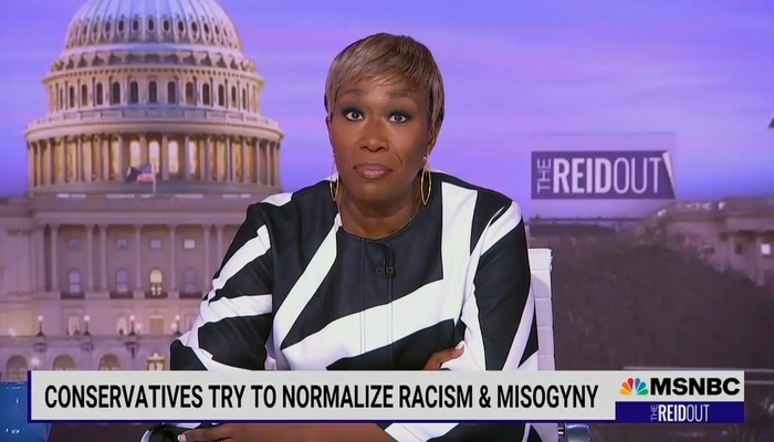 Joy Reid: DeSantis More Authoritarian Than Trump, Hates Civil Rights
