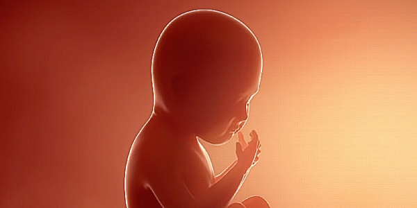 Kamala ‘Applauds’ Horrific Minn. Bill to Legalize Infanticide