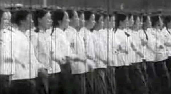Political pundit compares 'woke' mob to enforcers of Mao's Cultural Revolution