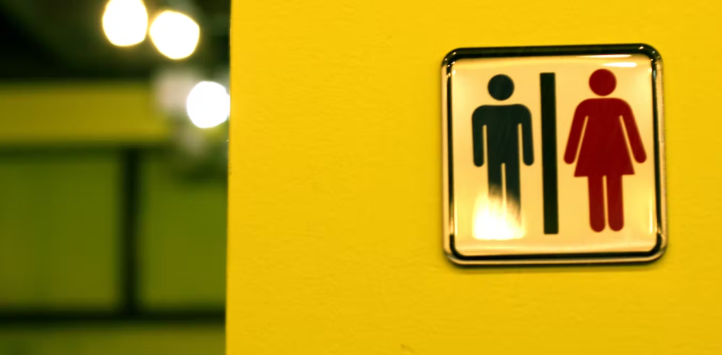 Differences between men and women are more than the sum of their genes