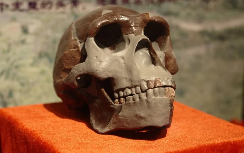 How China Is Rewriting the Book on Human Origins