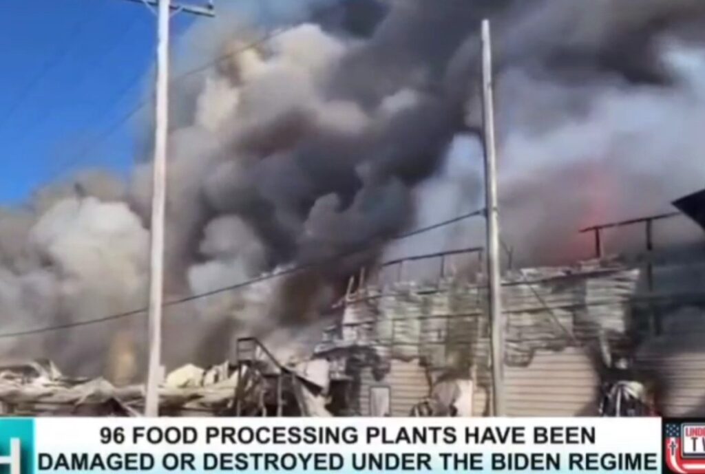 With So Many Strange Things Happening, Is It Time To Stock Up On ‘Emergency Food’?