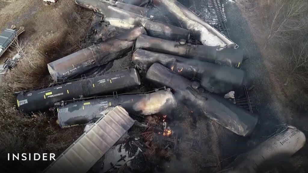 Animals Are Dying After A Train Carrying Chemicals Derailed In Ohio | Insider News