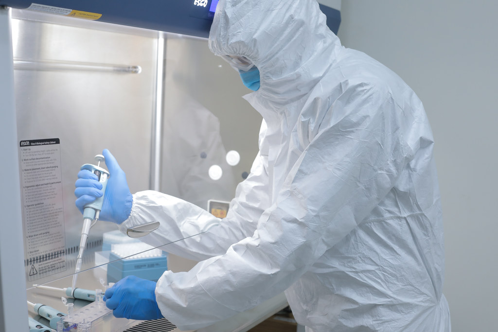 WHO Ditches COVID Origins Probe