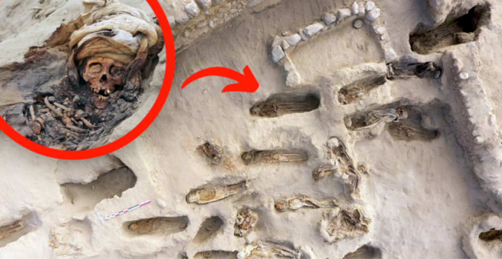 Peru: Skeletons of 227 Victims Unearthed at World's Largest Child Sacrifice Site (Video)