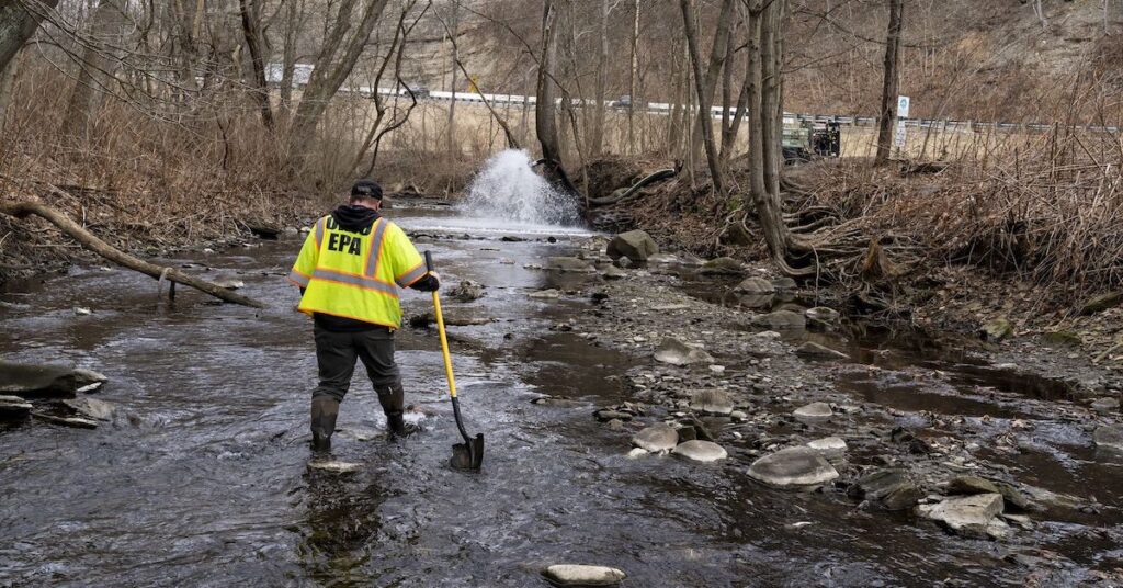 43,000 Animals Dead, EPA Says Ohio is Safe, America’s Coup d’état Continues