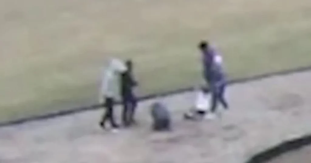 CRT IN ACTION: CCTV Captures White Children Being Rounded Up By Black Children at Ohio School, Then Forced to Kneel and Pledge to BLM before Being Assaulted (VIDEO)
