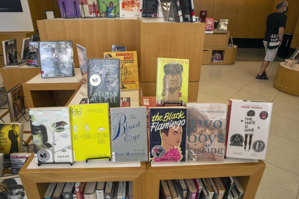 Lord Of The Rings, The Hobbit, and Gender Queer? Pornographic Books Increase In Libraries Across America, But Not If Republican Rep. Neil Friske Has A Say!