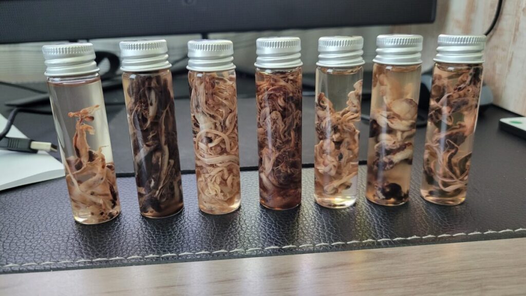 Embalmers Have Been Finding Numerous Long, Fibrous Clots That Lack Post-Mortem Characteristics