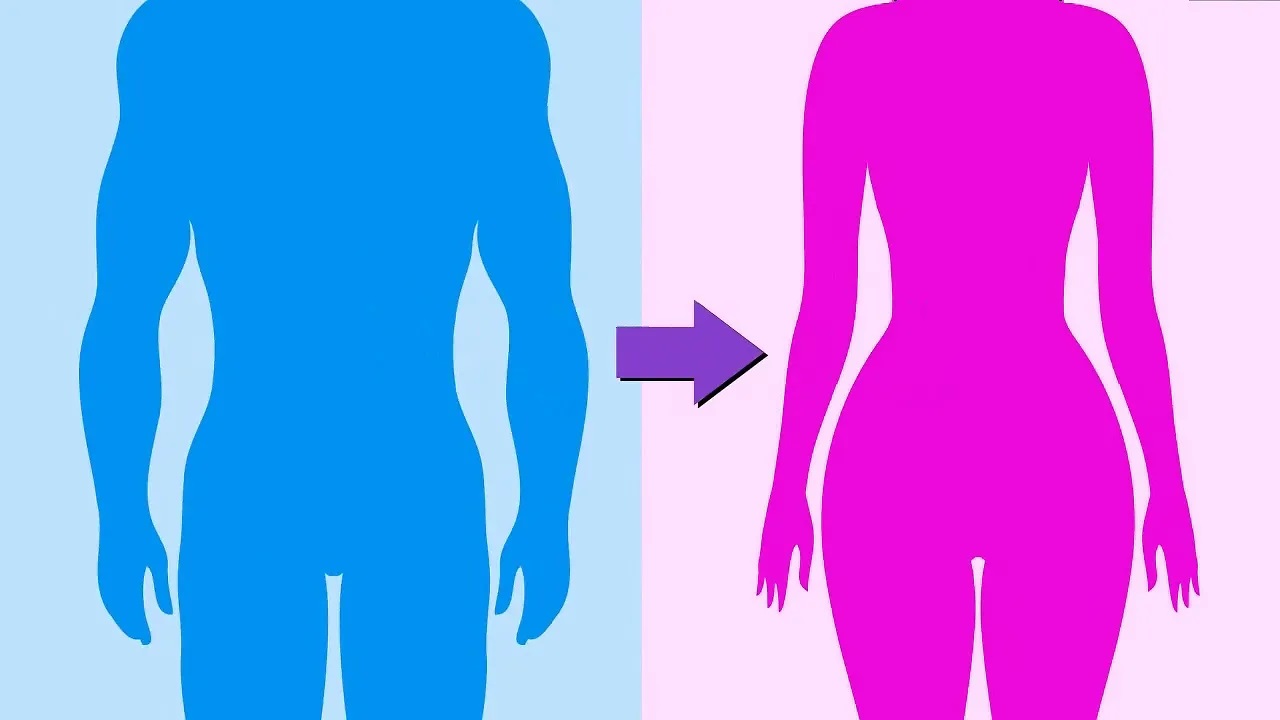 Male-to-Female Gender-Affirming Surgery: 20-Year Review of Technique and Surgical Results