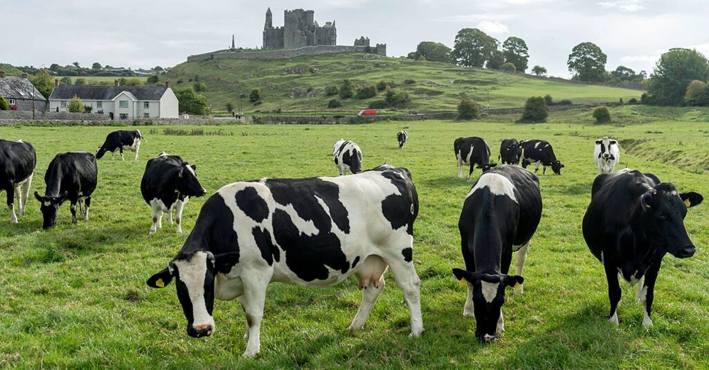 Irish Farmers Protest Plans to Cull Livestock to Meet Climate Targets