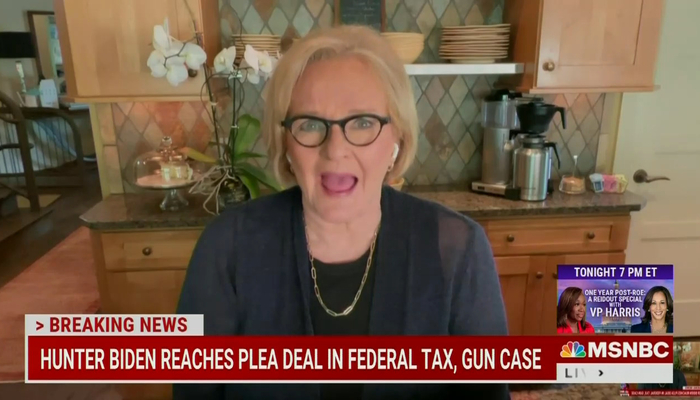 BACK OFF! McCaskill On Verge of Tears Over GOP Targeting Hunter Biden
