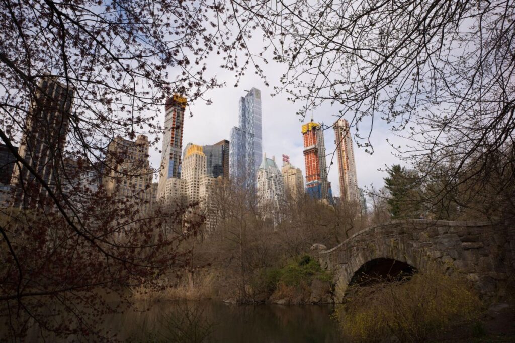Pit Bull Put to Death After Being Stabbed by Man in Central Park