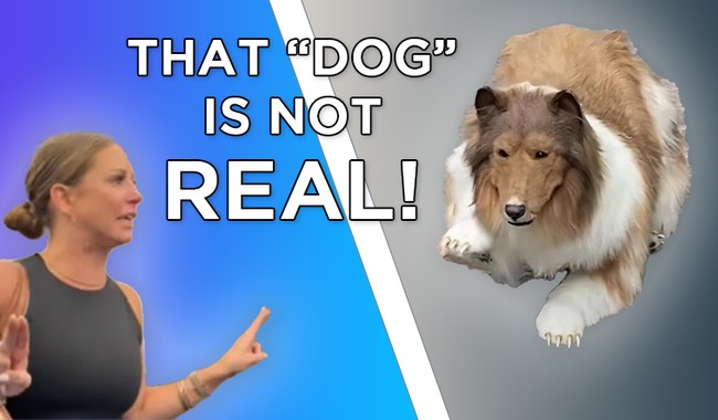 Sick Puppy: Man spends $20,000 to fulfill his dream … of becoming a dog