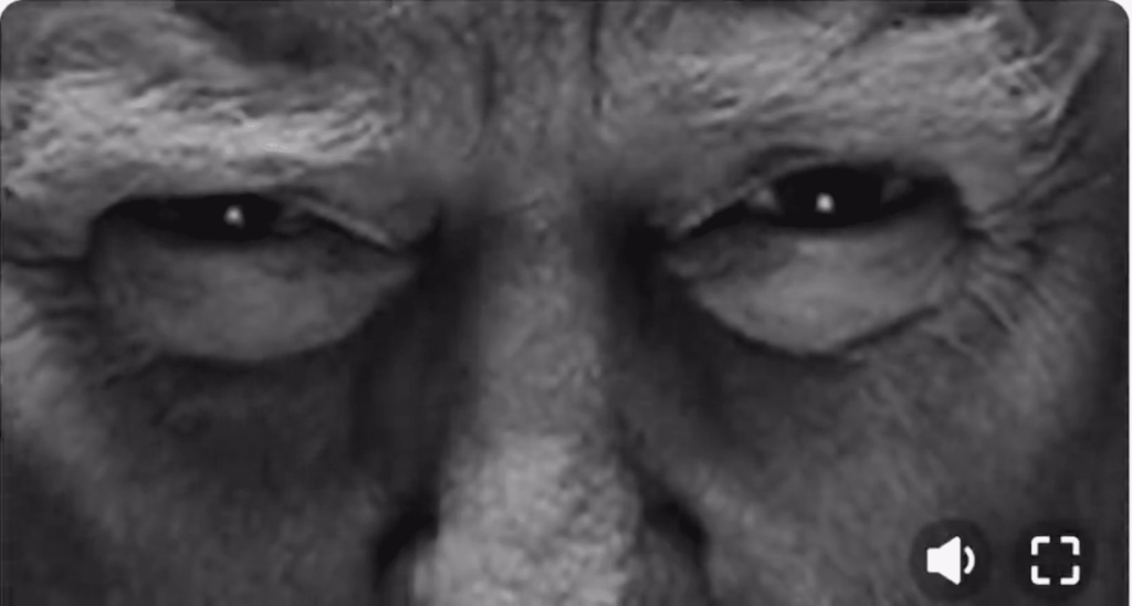 TRUMP: “If You Do Something Bad To Us, We Are Going To Do Things To You That Have Never Been Done Before!”