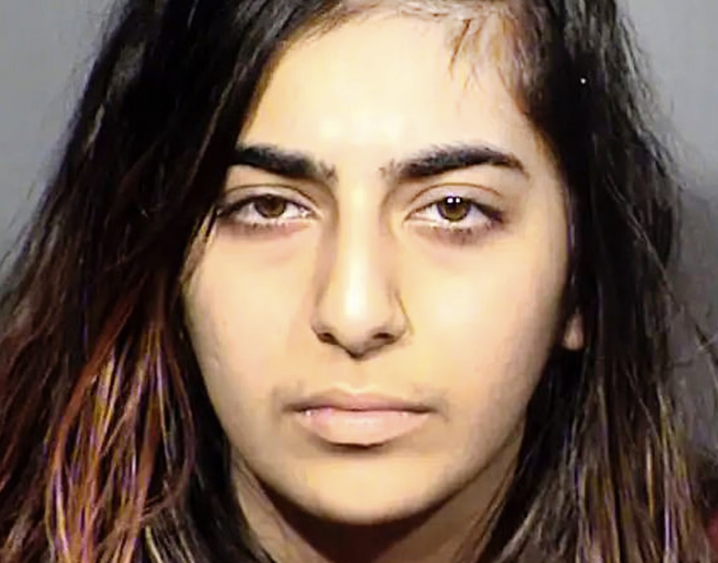 Iranian Who Stabbed American as Revenge for Death of Iran Terror Leader Gets Probation
