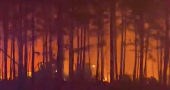 Largest Wildfire in State’s History Result of Arson