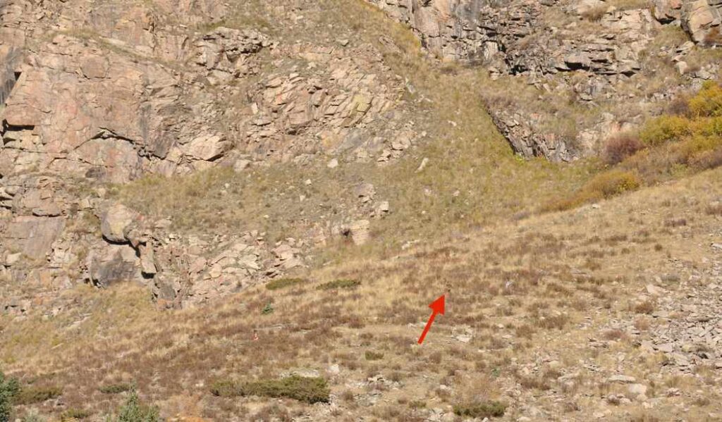 Bigfoot Caught on Video in Colorado Mountains