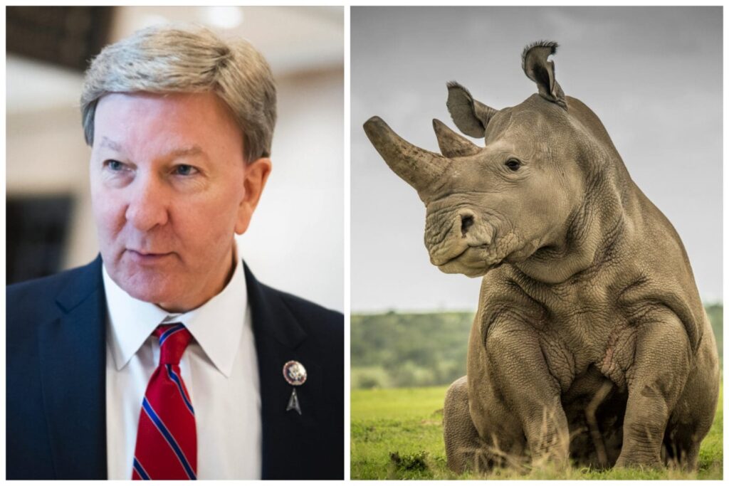 Traitor Rep. Mike Rogers Demands Help From Democrats to Elect a New Speaker of the House