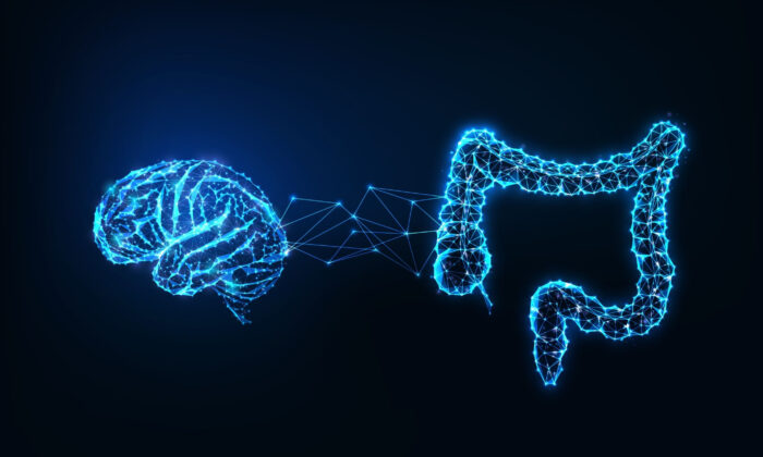 Breakthrough Study Finds Multi-Strain Probiotics Can Reduce Mental Health Symptoms