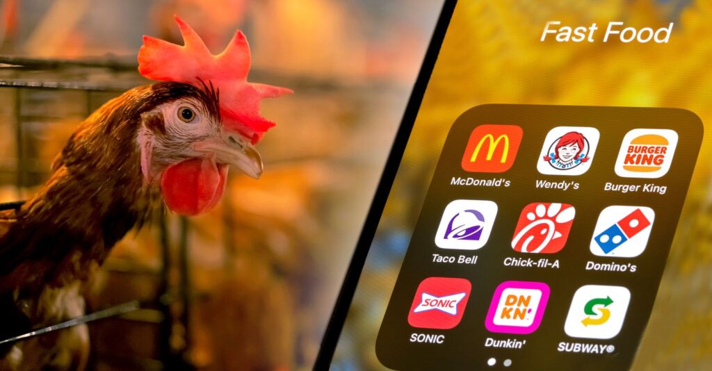 Animal Contraceptives and Antibiotics in Popular Fast Foods, Testing Reveals