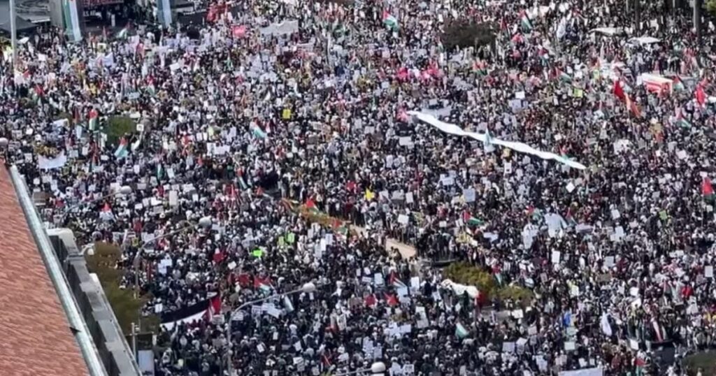 Tens of Thousands of Pro-Palestinian Protestors March in DC (VIDEO)