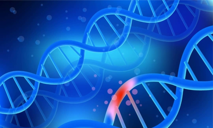 FDA Document Raises Concerns Over a New Gene Editing Therapy