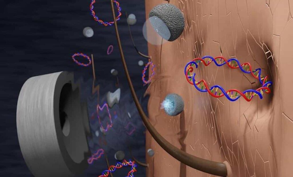 BREAKING: Science Journal: “Almost Ready a Needle-free Ultrasound Vaccine”