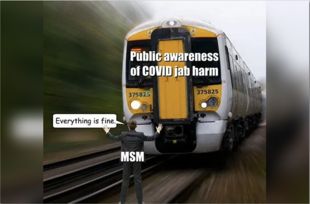 The Rest of the Story – Steve Kirsch’s MIT Speech on NZ Whistleblower Barry Young’s Revelations Proving C-19 “Vaccines” Killing Millions