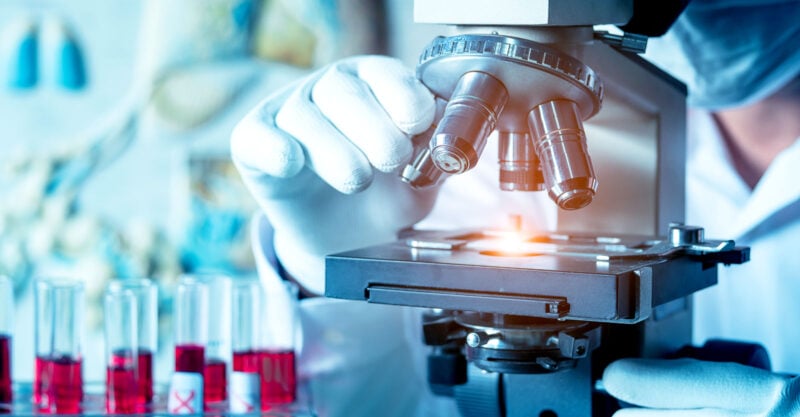 Wuhan Lab’s ‘Bat Lady’ Visited Fauci, NIH in 2017, Emails Reveal