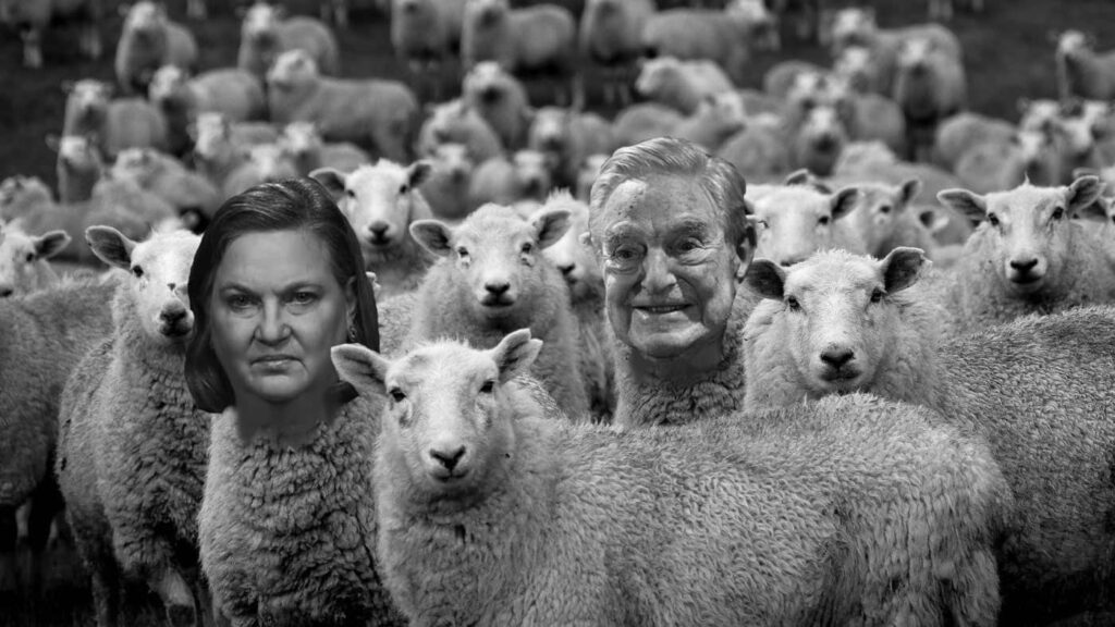 Covid Myth Busting Before It Was Fact Using Some Commonsense – Get Ready for 2024