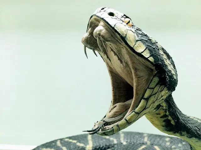 Satan, The Serpent