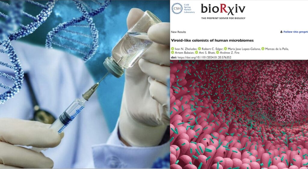 “Obelisks”, Unknown Viroids discovered in Human Gut: might have been Generated by Harmful mRNA Vaccines!