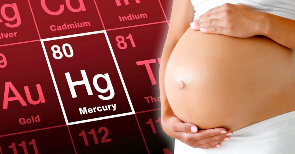 Amalgam Dental Fillings Expose Pregnant Women to Harmful Mercury Vapor Levels
