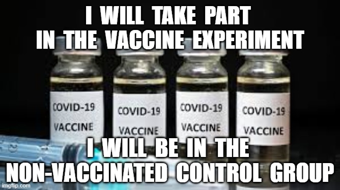 'The Covid Experiment'