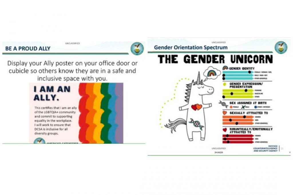 Top U.S. Intelligence Agency Brainwashes Personnel with ‘Gender Unicorn’ and ‘Transgender Terminology’