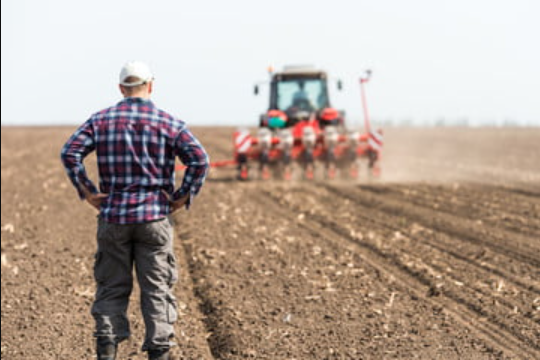 Soon, There Will Be No Farms – It’s Part Of ‘Their Terrifying Plan’ – BUT…