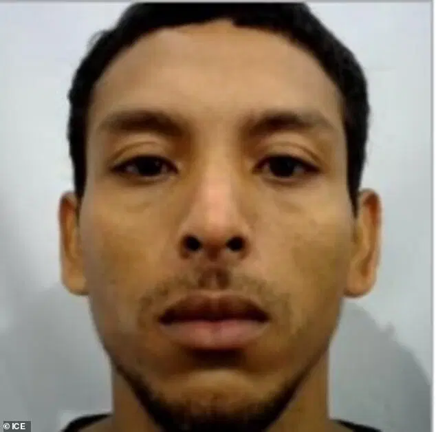 TikToker Illegal Alien Advocating Illegals To Exploit Squatting Laws Gets Arrested By ICE