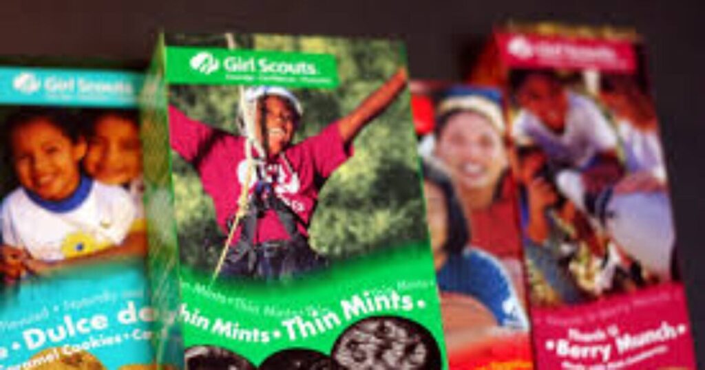 13-Year-Old Girl And Mother Fined $400 For Selling Cookies On Family Member’s Driveway?