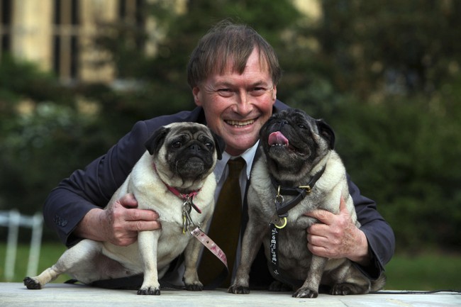Luxury Airline to Offer NY-LA-London Flights for Pooches and Their Owners ... Starting at $6K